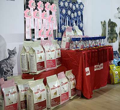 �������� ����� '���-�����-������' 22-23 ������ 2014 169A8996 copy.jpg